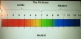 pH Scale