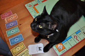 Cat Winning at Monopoly by business plans 2013