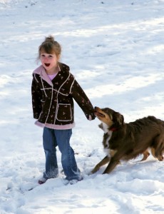 "Herd dog" by Anita Peppers, copyright 2013
